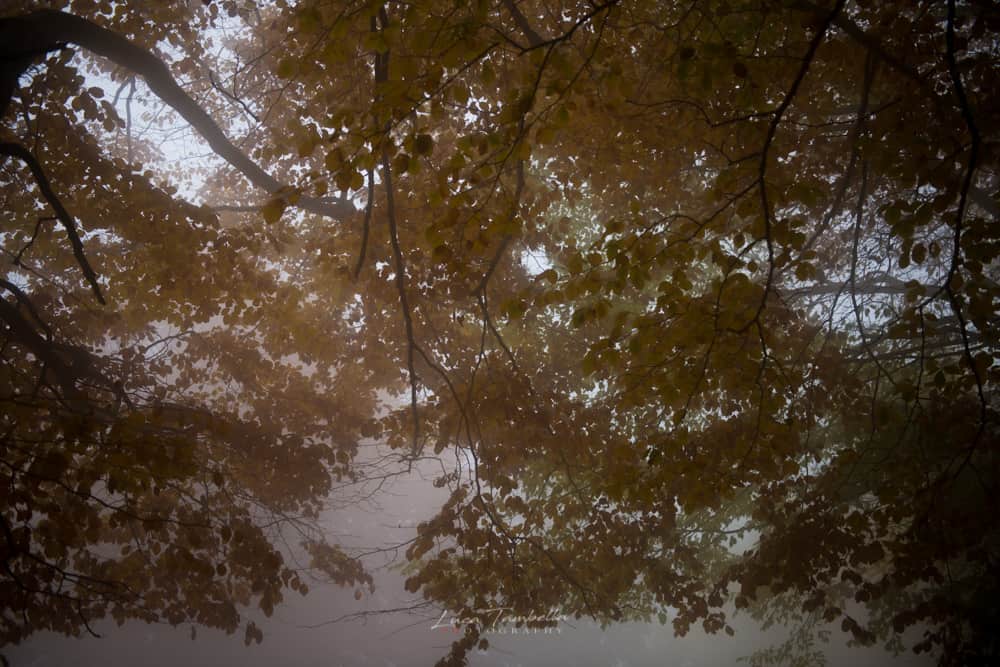Sarnanogo - Fotografare l'autunno sui Sibillini -