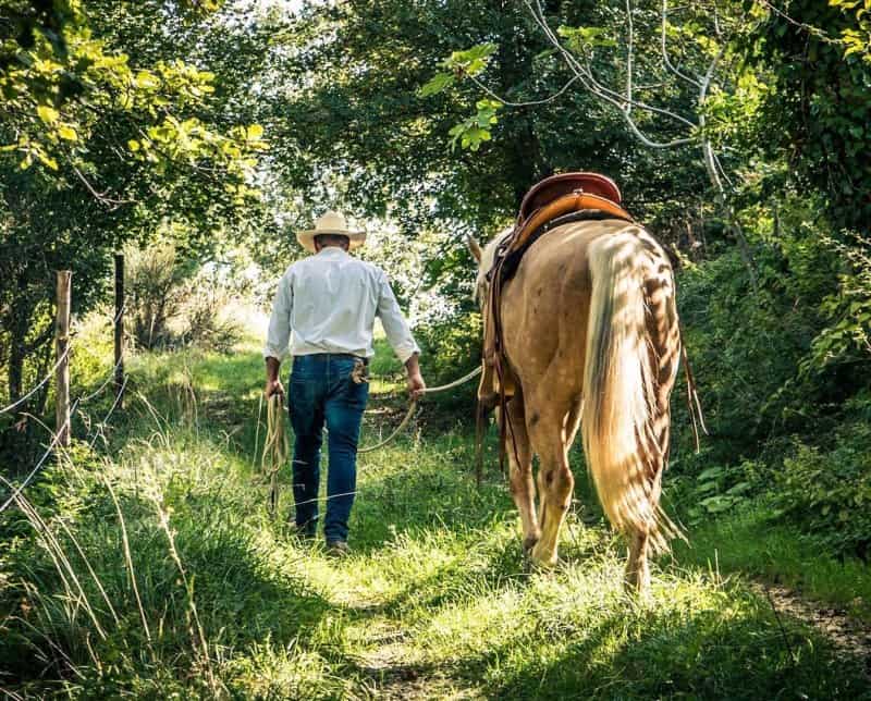 Sarnano - Trekking a cavallo
