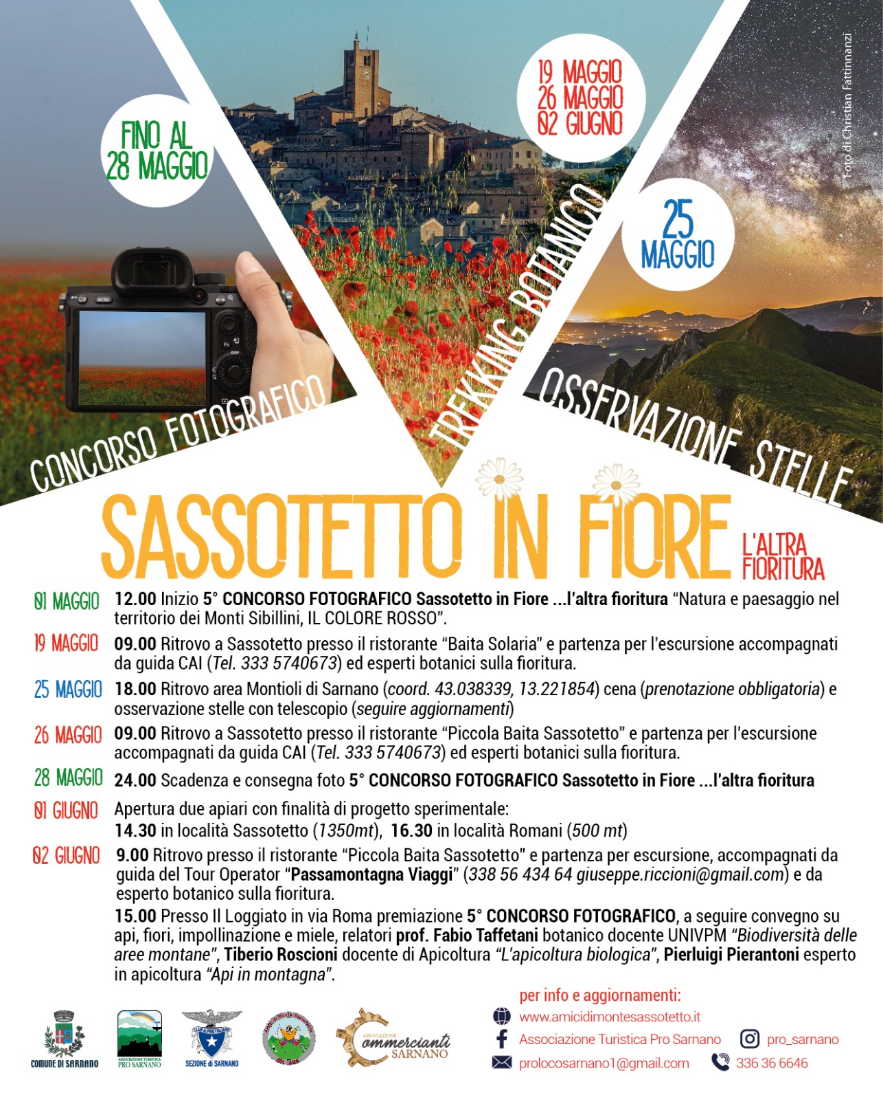 Sassotetto in fiore